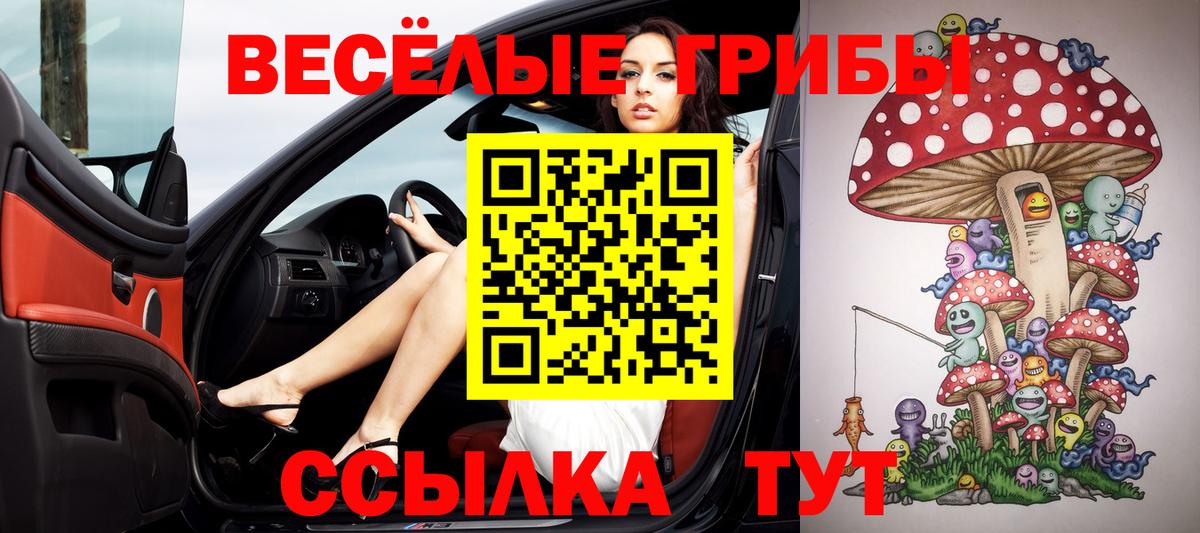 где найти наркотики  Вход с VPN  Заречный  Псилоцибиновые грибы мухоморы 