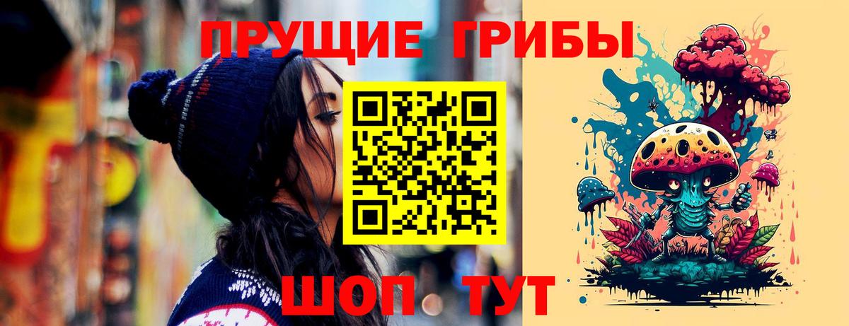 Псилоцибиновые грибы Psilocybine cubensis Заречный